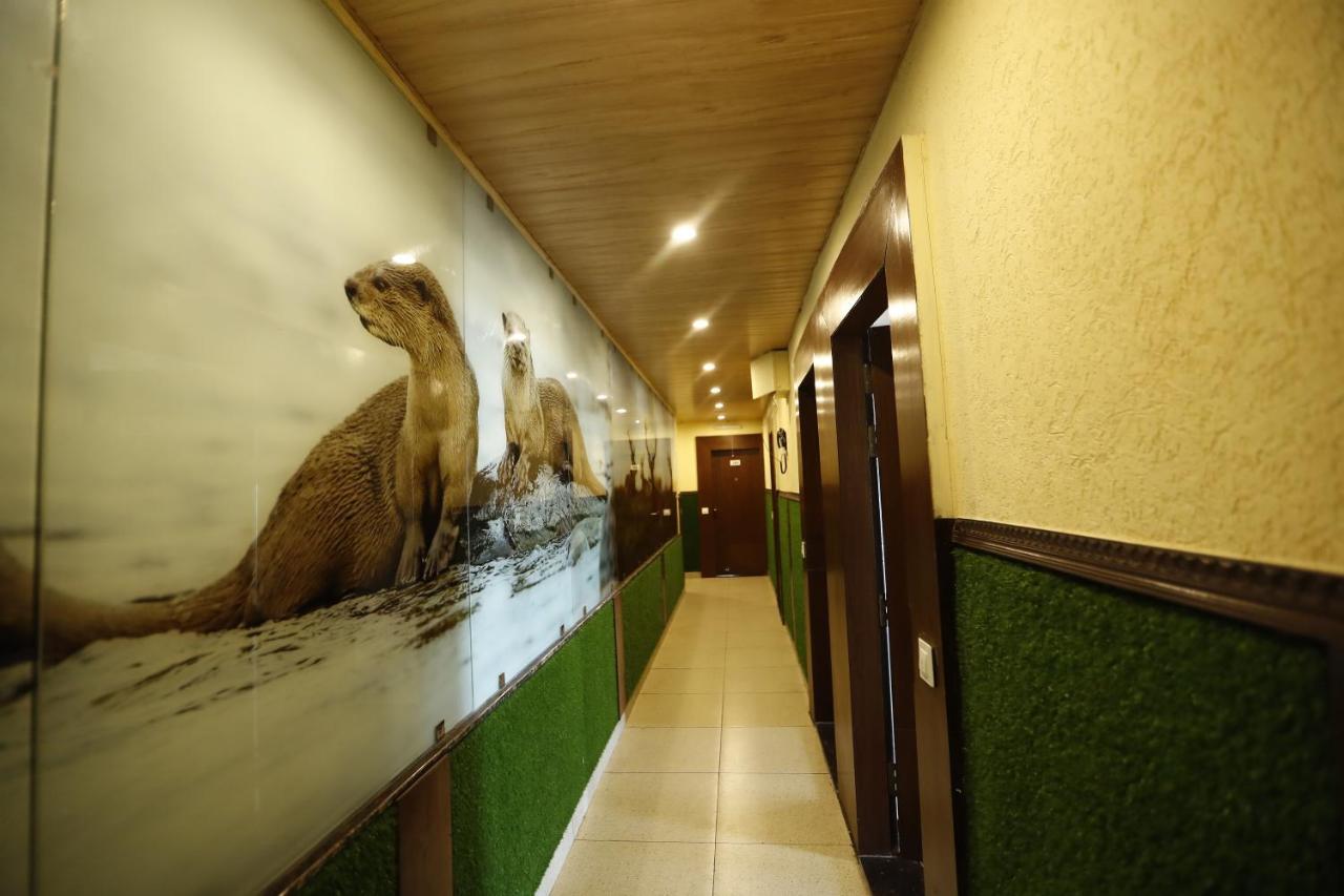 Hotel Kings Inn มัสซูรี ภายนอก รูปภาพ